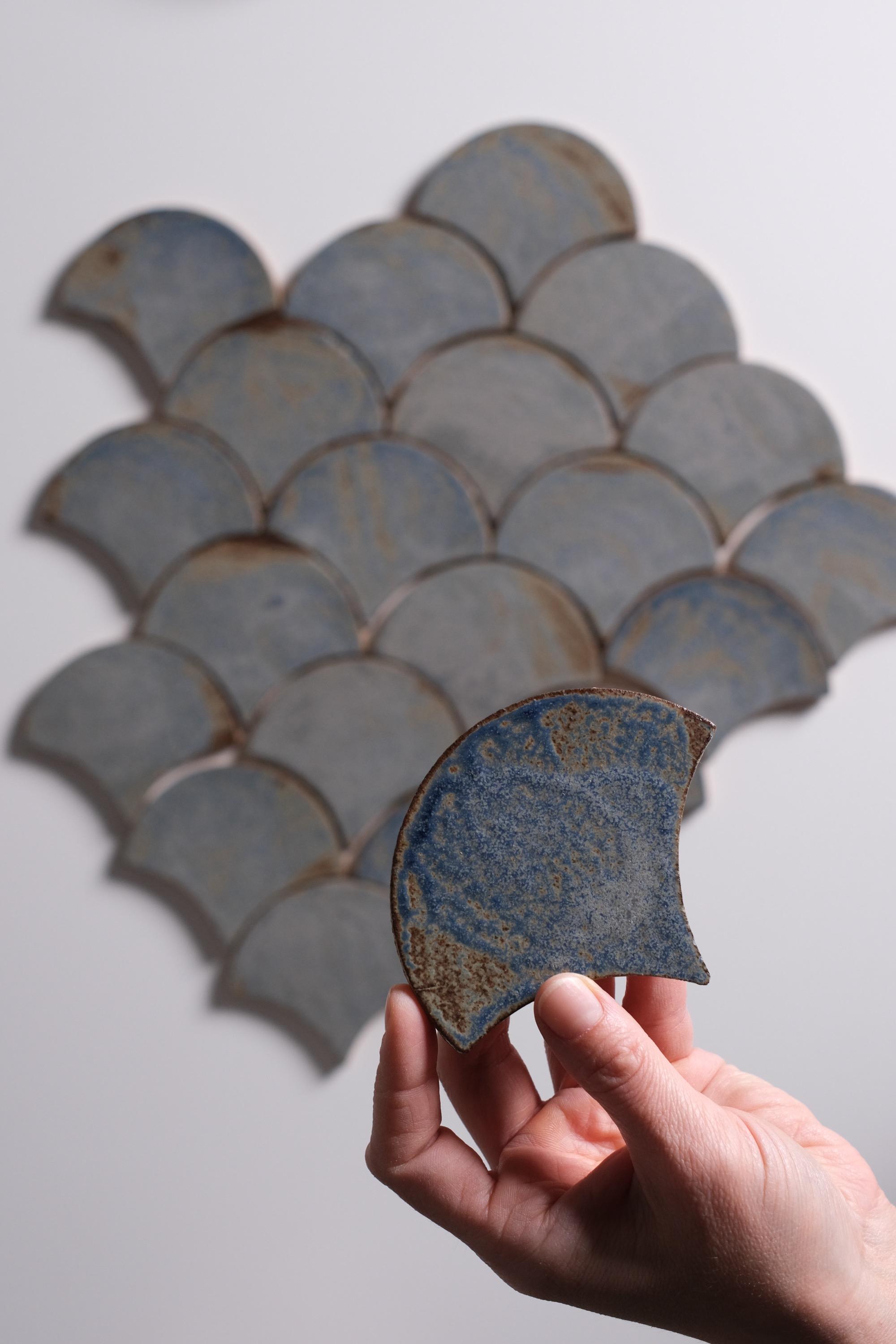 Fish scale - Marina, gallery photograph 2